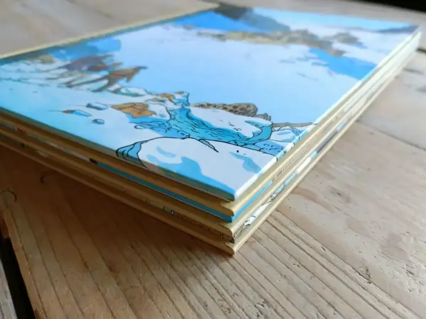 Avontuur Een Paar Stappen Naar Het Licht  (eerste cyclus)