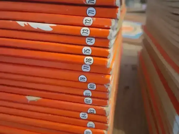 Suske en Wiske, verschillende delen