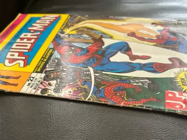 Overig De spectaculaire Spider-Man 22 (1981)