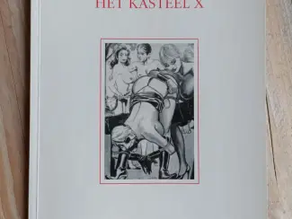 Het Kasteel X