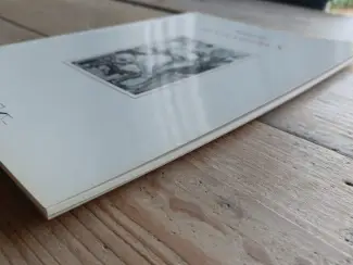 Erotiek Het Kasteel X