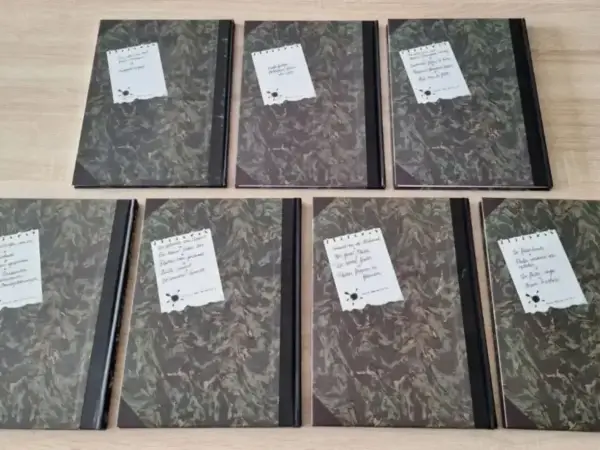 Complete reeksen Guust Flater Collectie (1996)