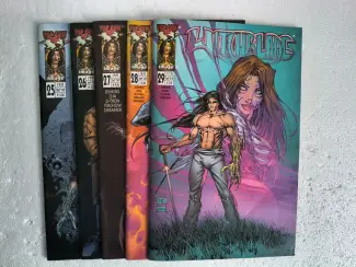 Overig Witchblade - 24 nummers : 1 tot 24