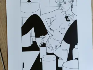 Genummerde / gesigneerde uitgaven De vrouwen van Alfred H.  Portfolio  (Dick Matena)