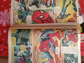  De wonderbaarlijke Spinneman en Peter Parker de spektakulaire Spi